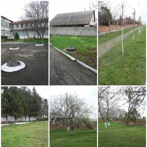 Curățenia generală de primăvară